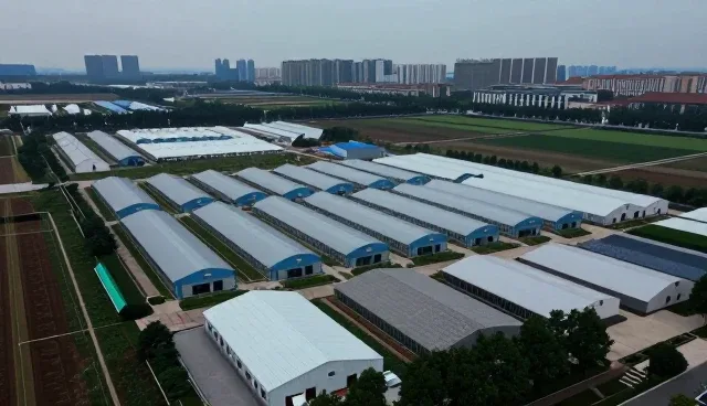 电商运营中公众号开发的实际应用分析